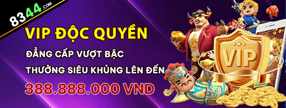 Hình ảnh quảng cáo của vnq8 hiển thị nền tảng và các lợi ích