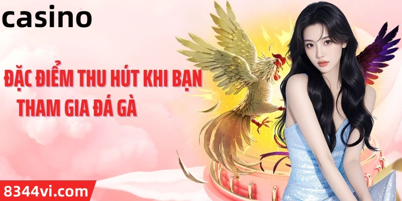 Hình ảnh quảng cáo của vnq8 hiển thị nền tảng và các lợi ích
