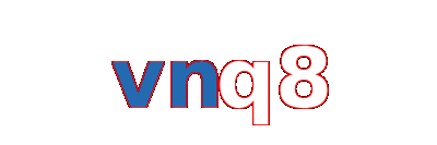 vnq8